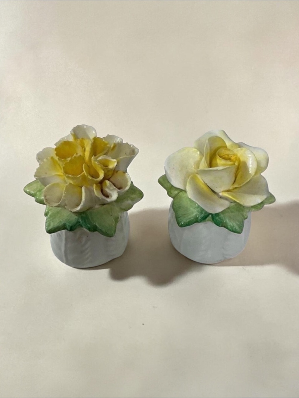 Antique Aynsley Rose Carnation Dainty Salt & Pepper Shakers
